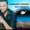 Forgács Norby - Igaz szerelem - Single
